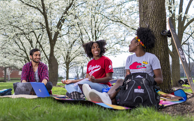 Students with laptops sitting on lawn chatting