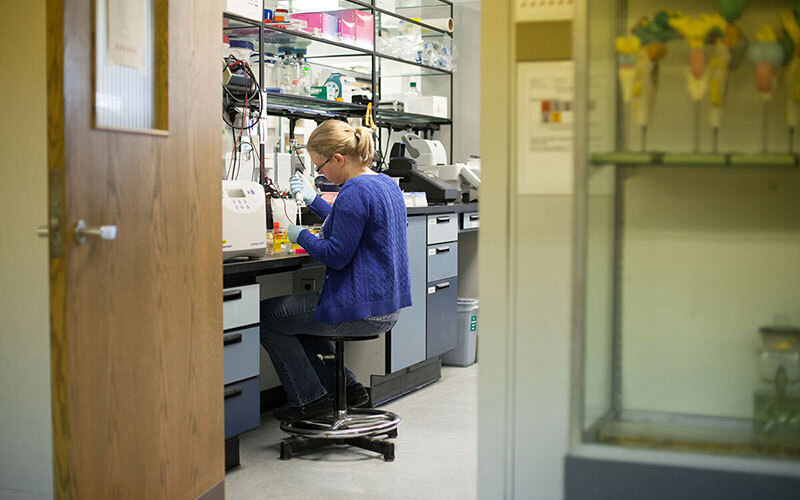 Researcher working in an IU lab